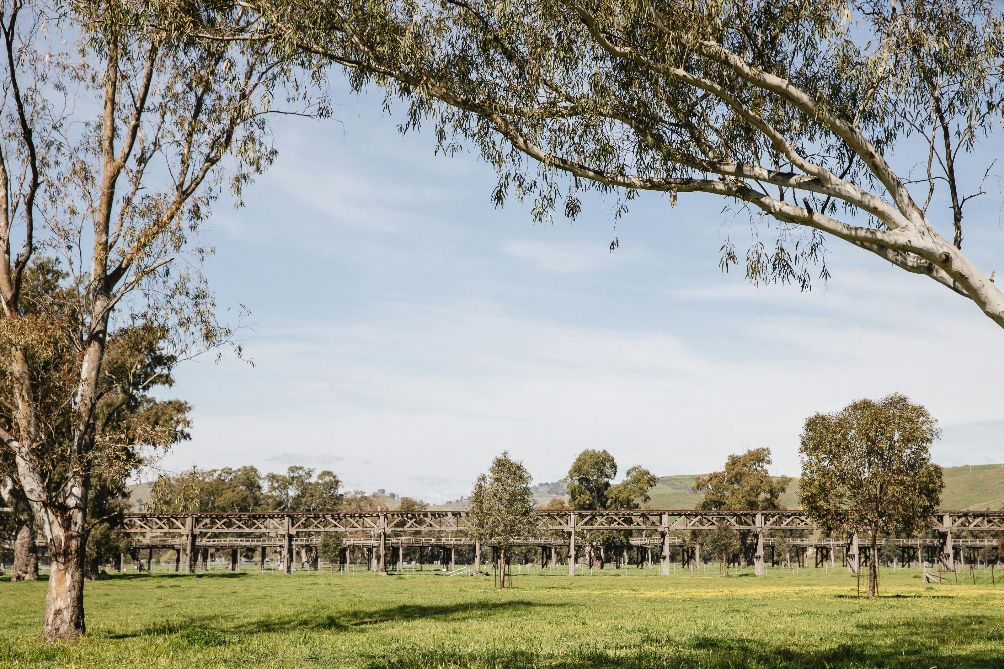 Overlooking the Gundagai Common