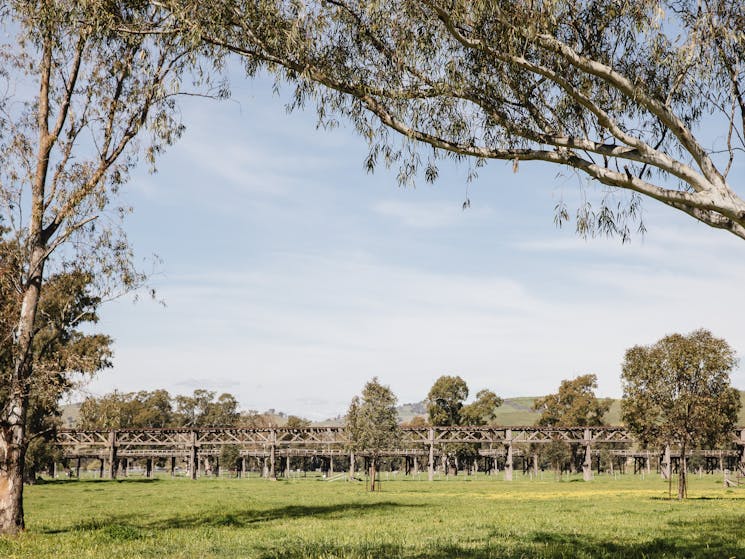 Overlooking the Gundagai Common