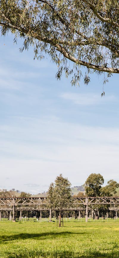 Overlooking the Gundagai Common