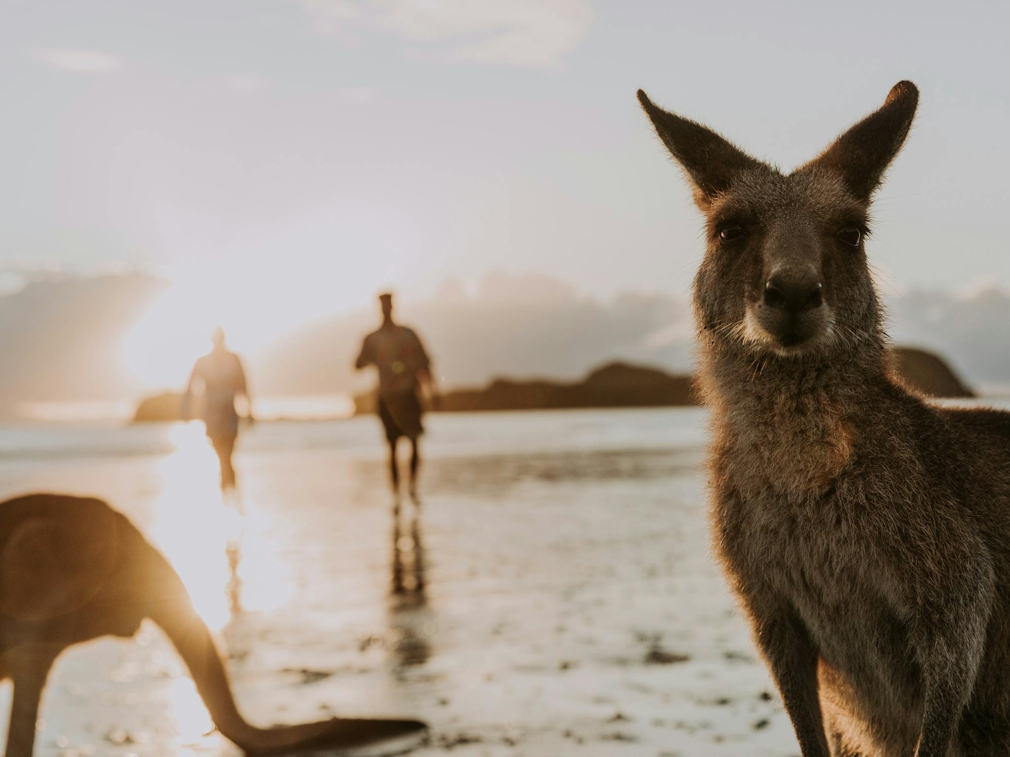 Cape Hillsborough National Park