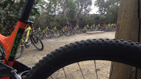 MTB setup