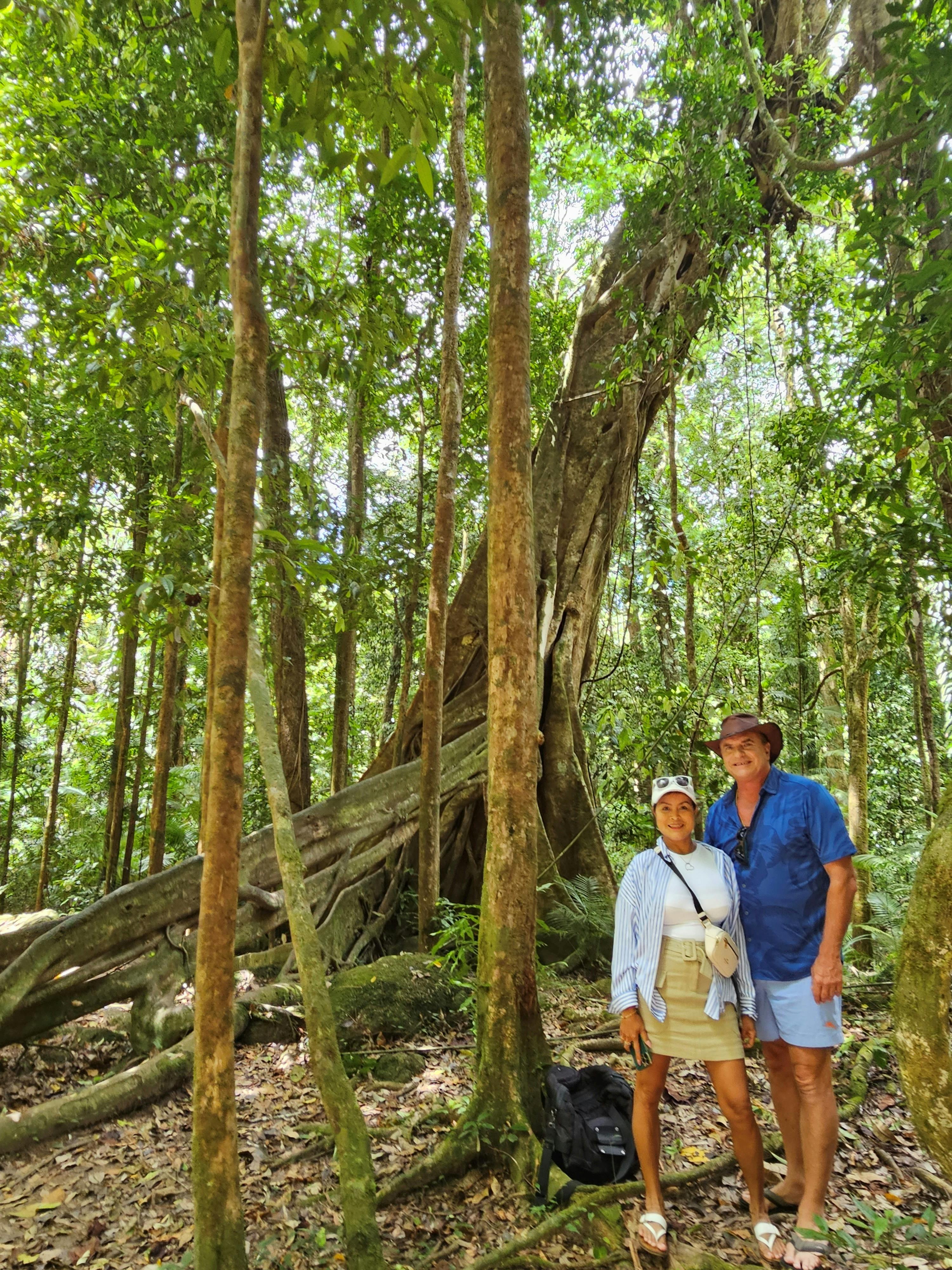 Daintree Rainforest