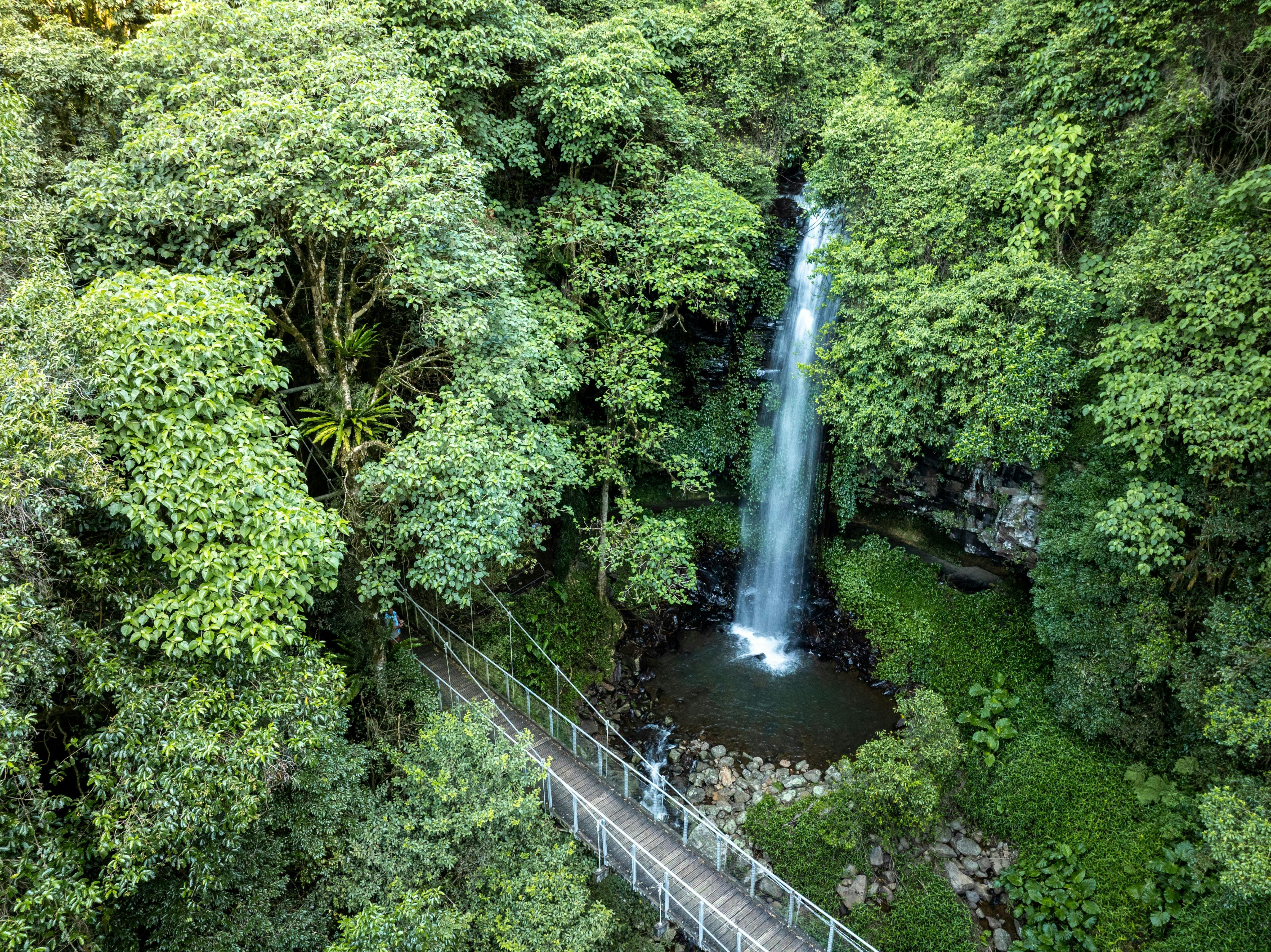 Crystal Shower Falls