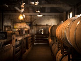 Barrels at Bellwether Winery