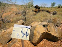 Sign with illustration of ancient emu-like creatures, sign standing next to rocky outcrop