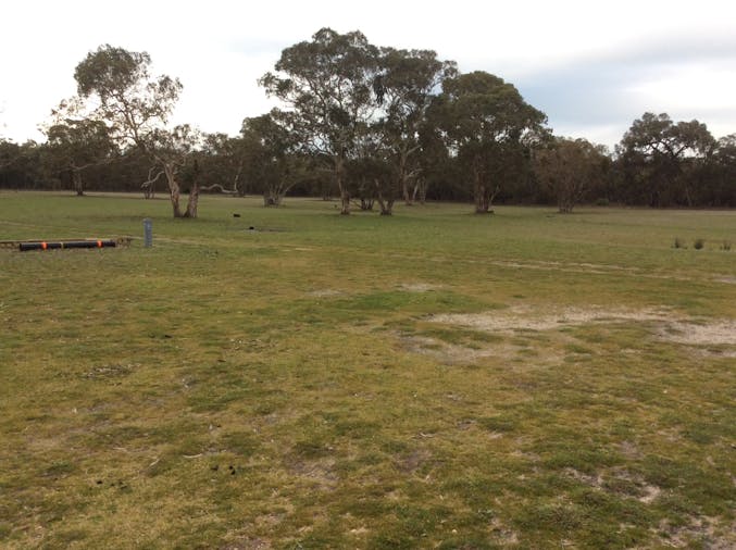 Black Cockatoo Bush Camp