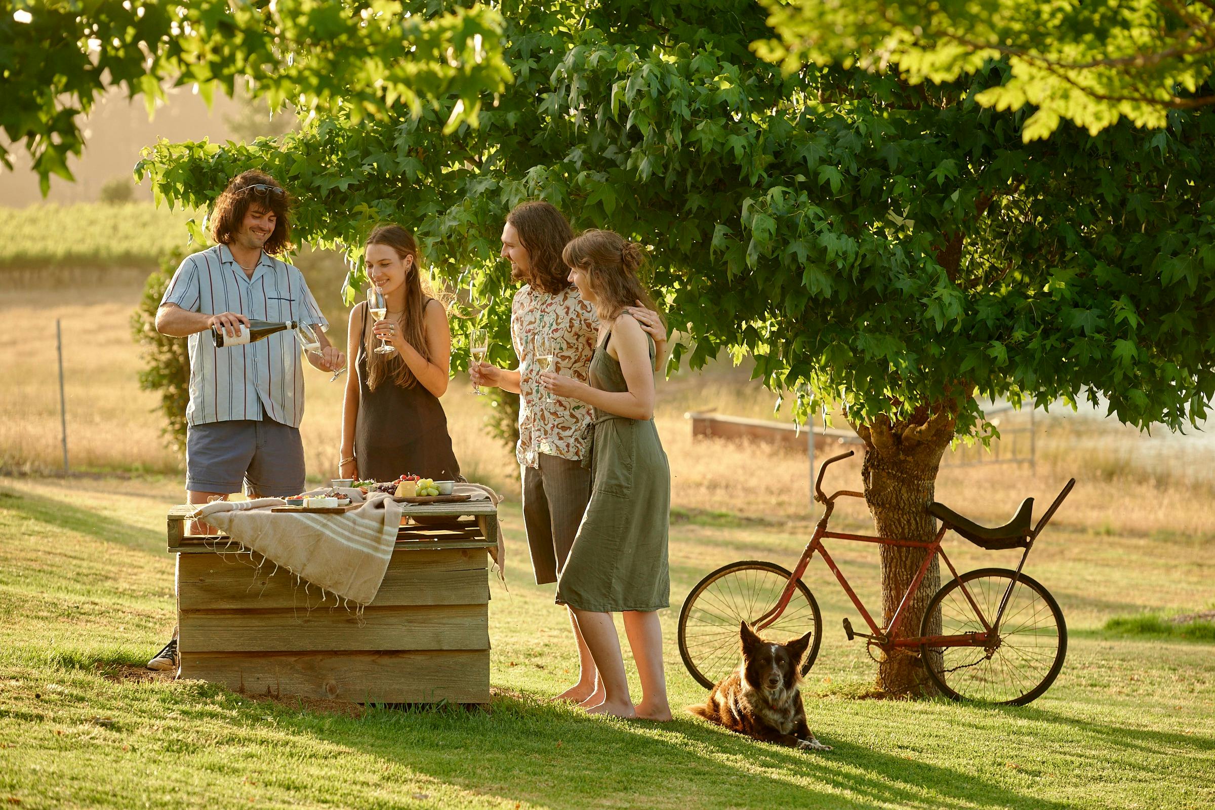 Lost Lake Wines