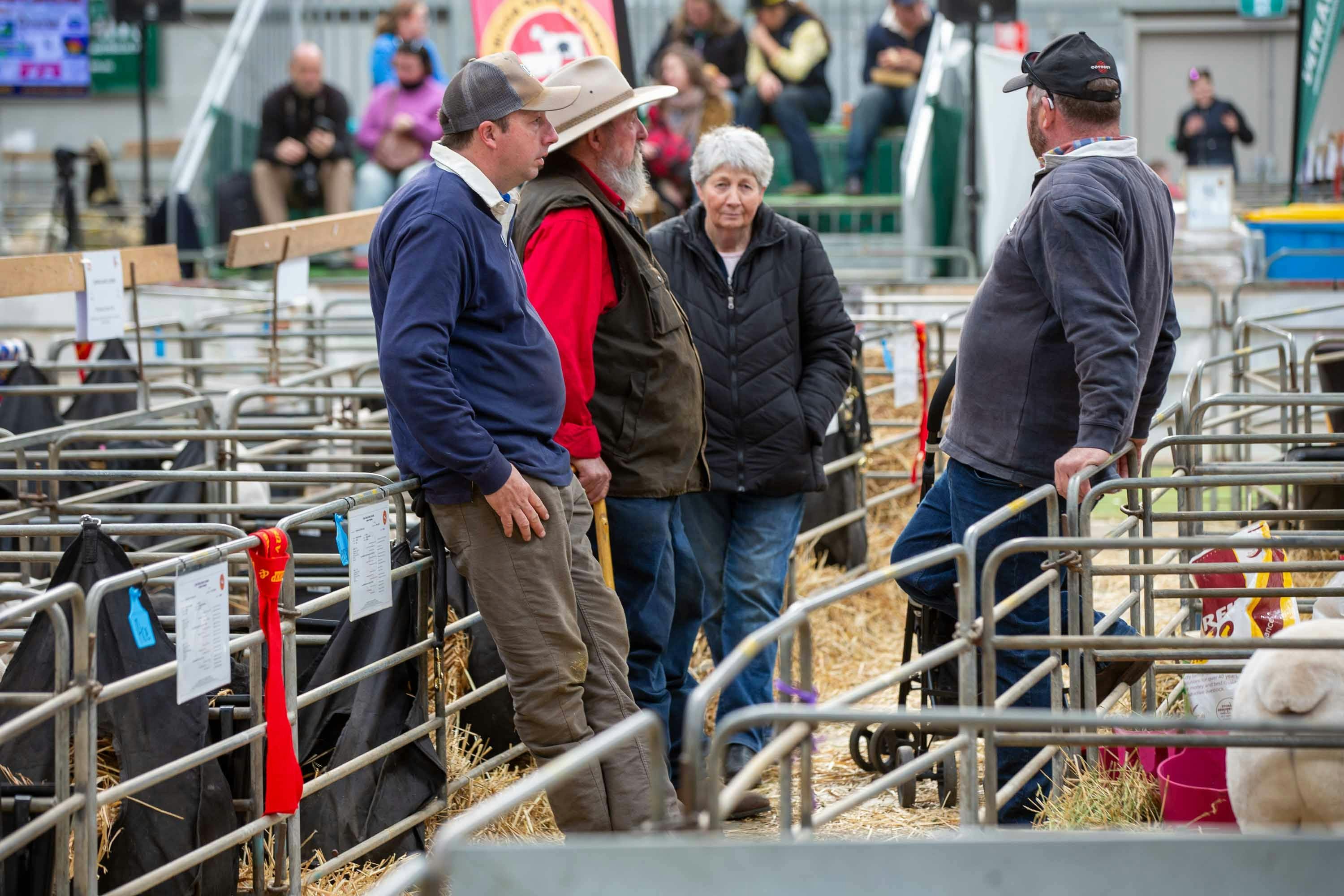 a group talking among sheep pens