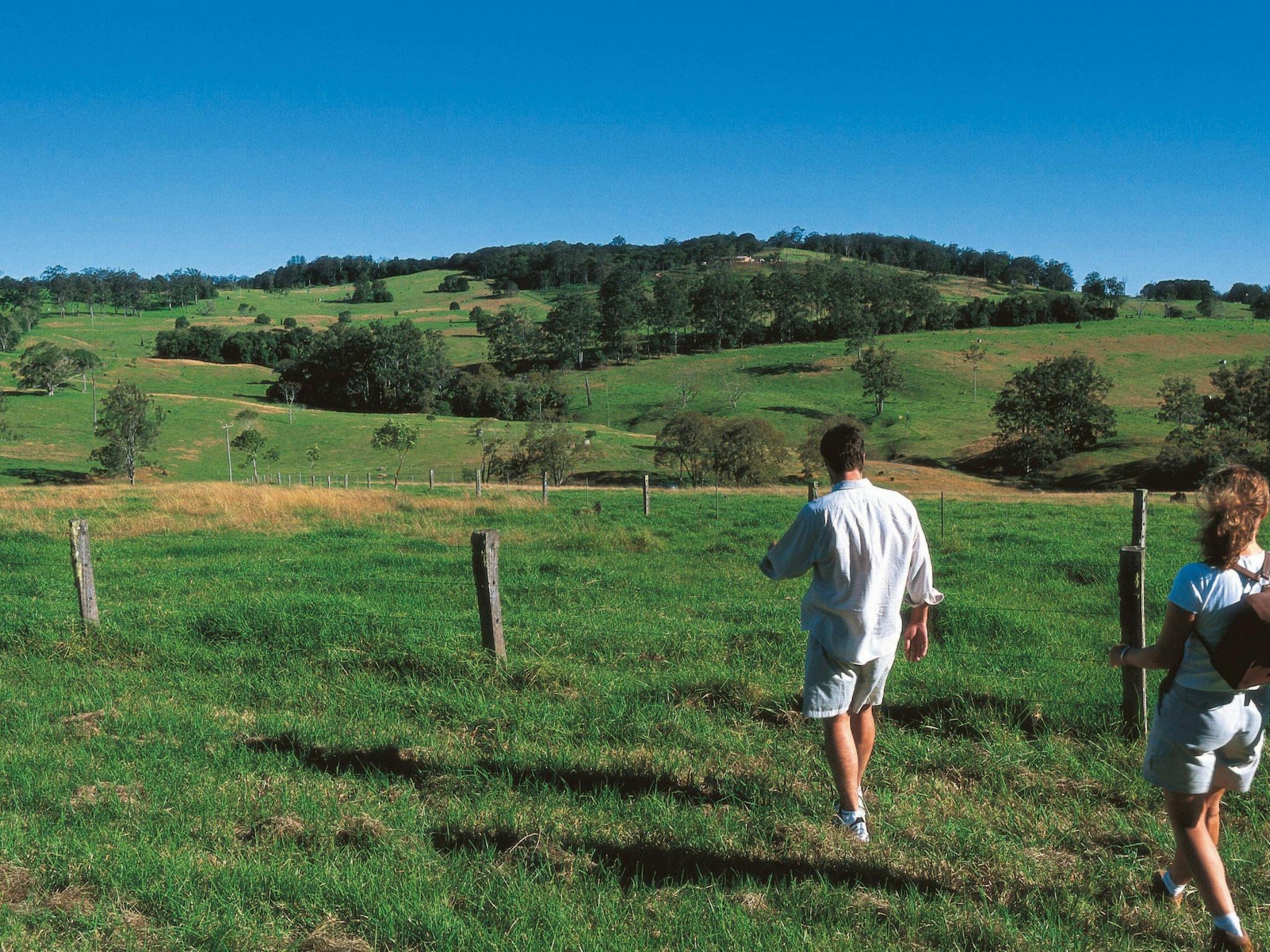 Ravensbourne National Park