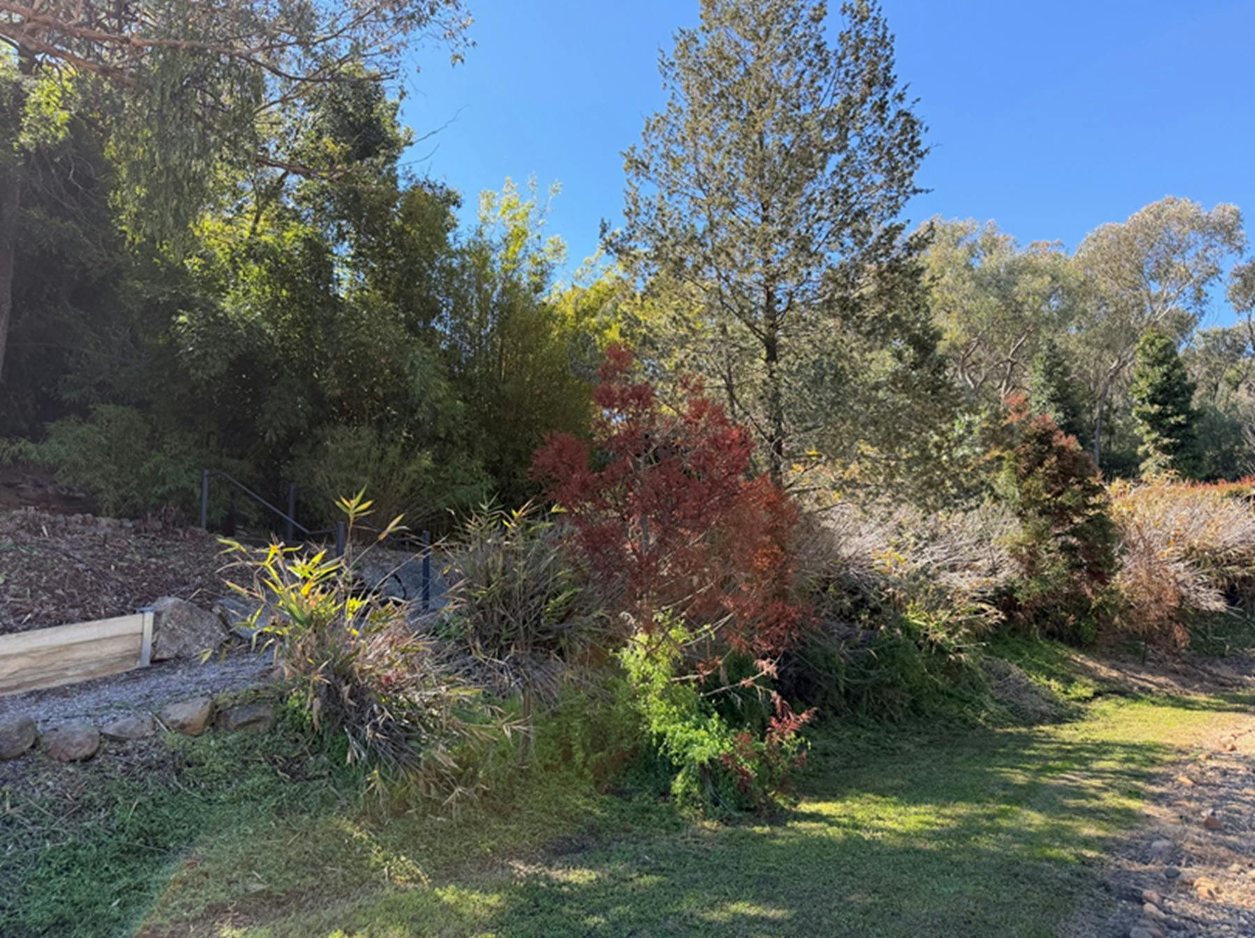 Tamworth Regional Botanic Gardens