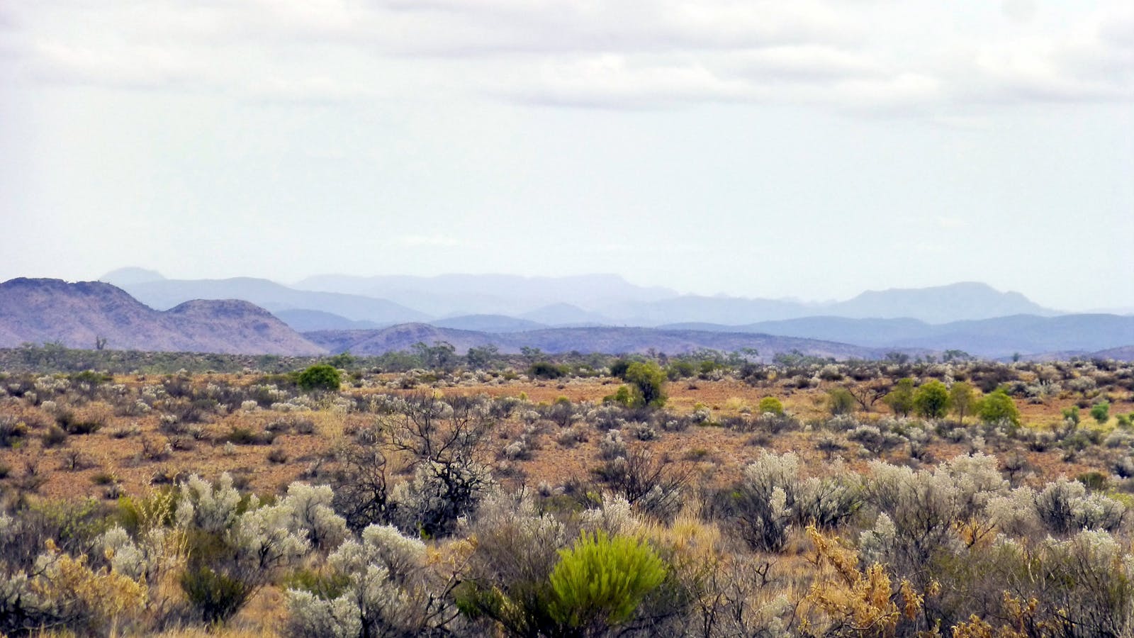 Vulkathunha-Gammon Ranges National Park