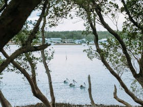 Beach to Beach Shared Path