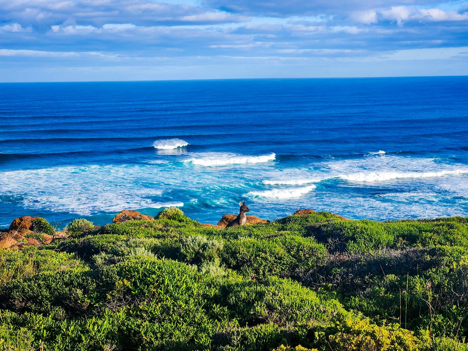 Cape to Cape Track, Moses Rock