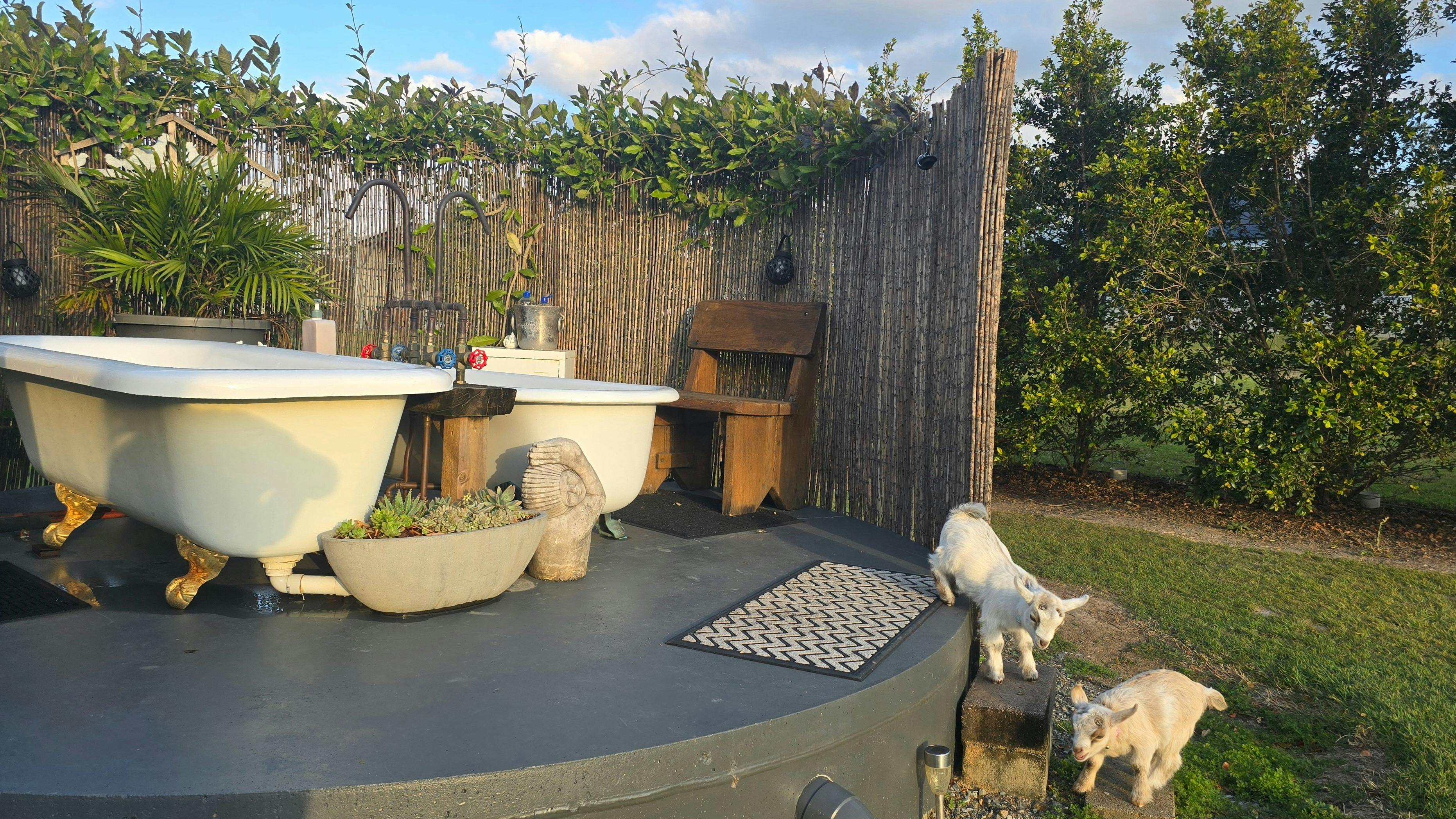 Relax in dual hot water outdoor baths with mountain views at Fig Tree Farm.