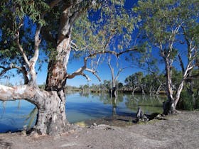 Loch Luna and Moorook Game Reserves