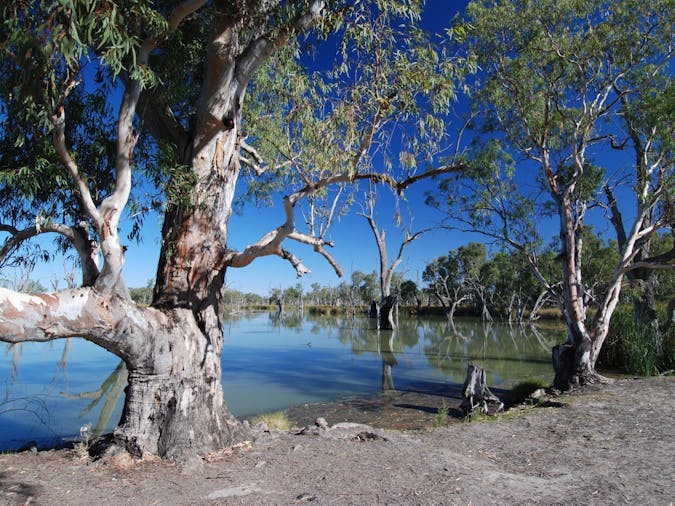 Loch Luna and Moorook Game Reserves Campgrounds