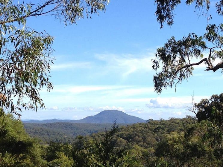 Mount yengo