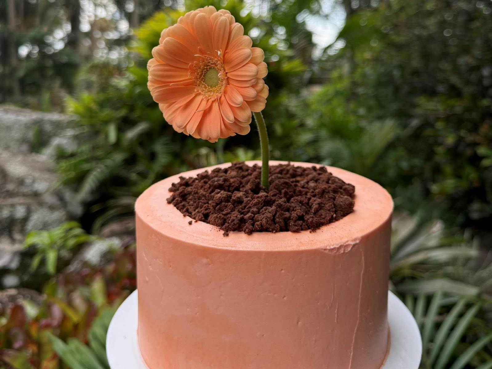 A cake with a flower on top