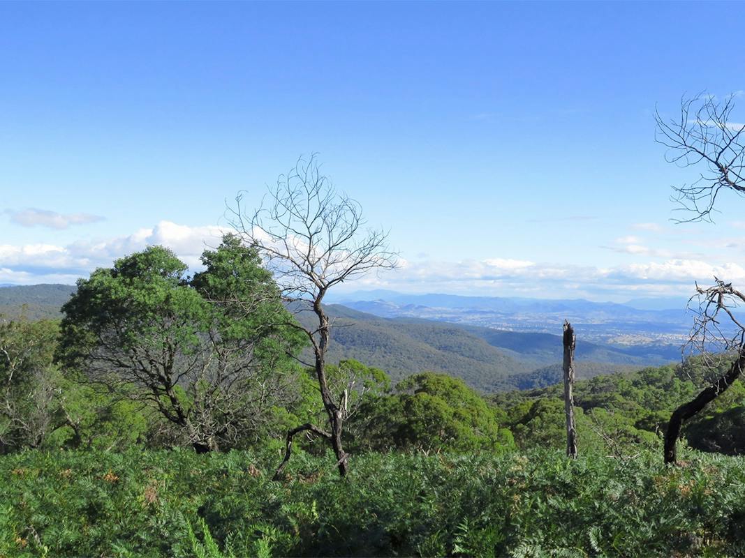 Mt Samaria