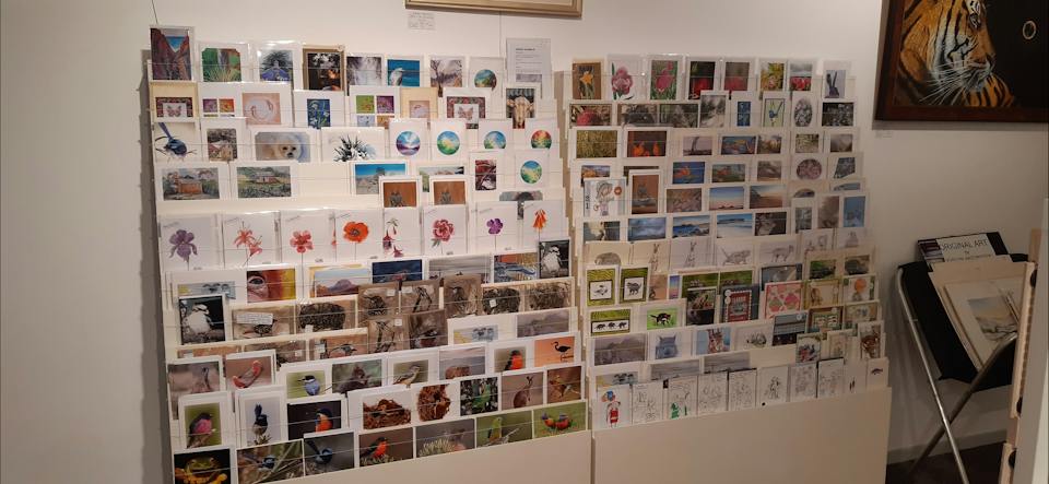 Sheffield Art Gallery photo
