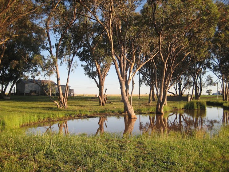 Late afternoon after rain