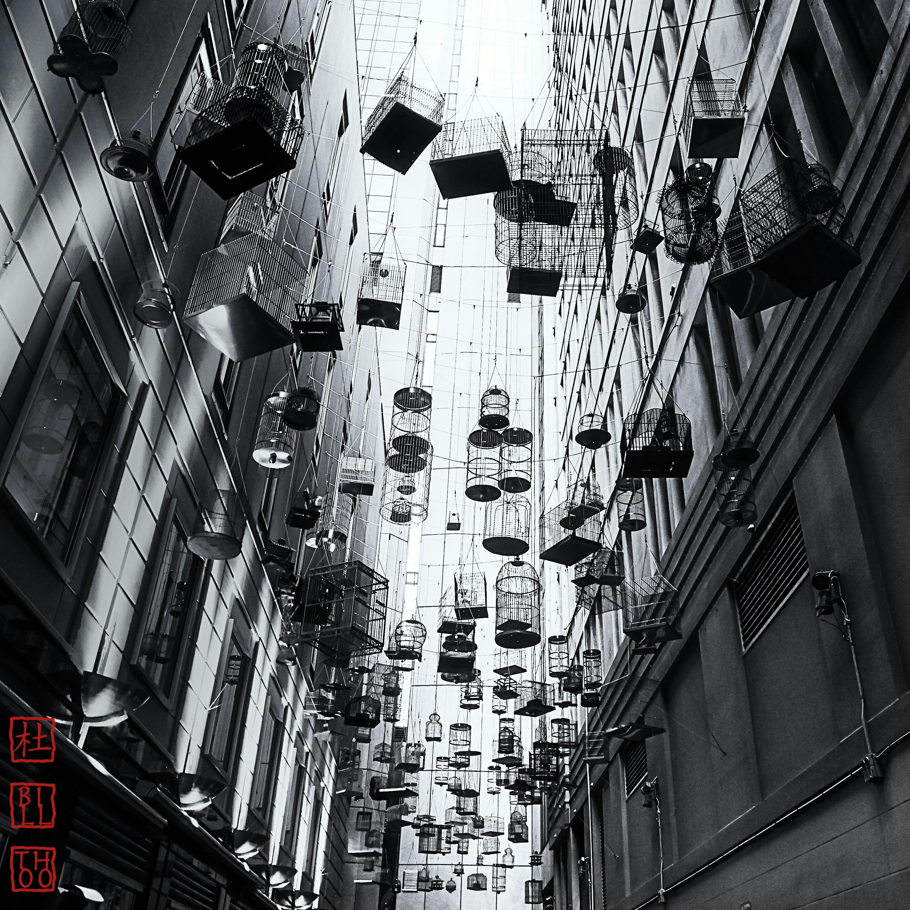 데스 온 더 락스(Death On The Rocks) - 시드니 청소부 사냥