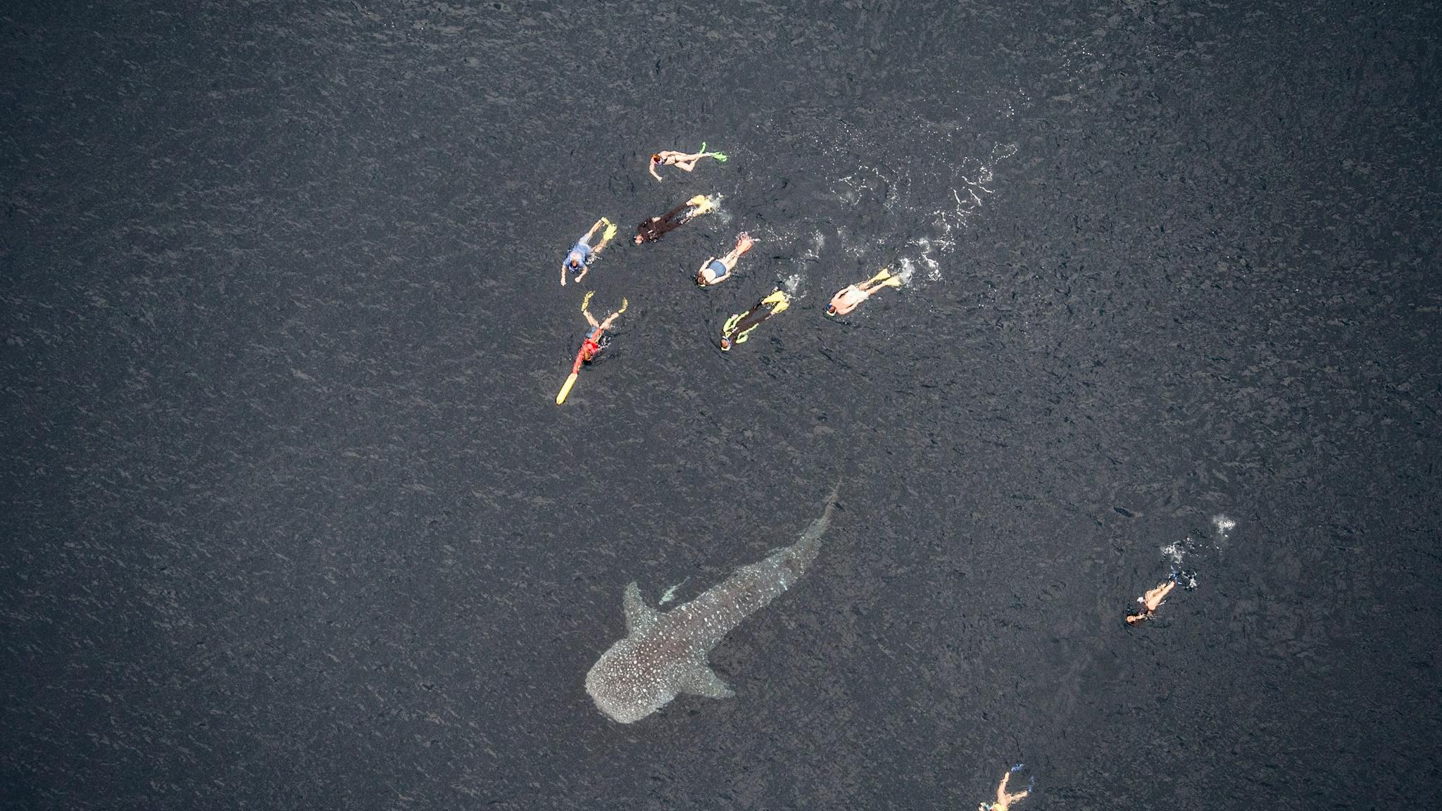 Ocean Eco Adventures, Exmouth, Western Australia