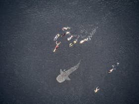 Ocean Eco Adventures, Exmouth, Western Australia