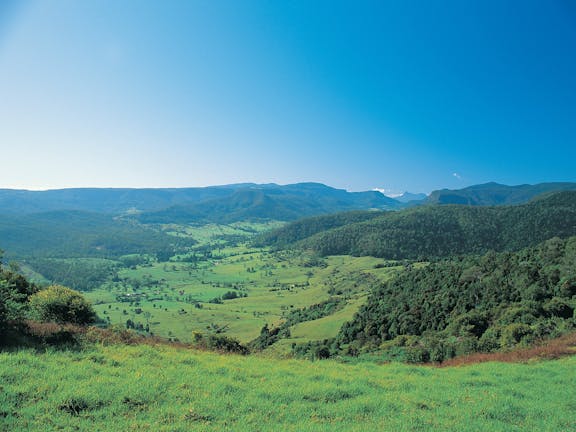 Numinbah Section, Springbrook National Park