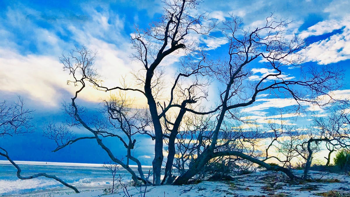 Amity Beach