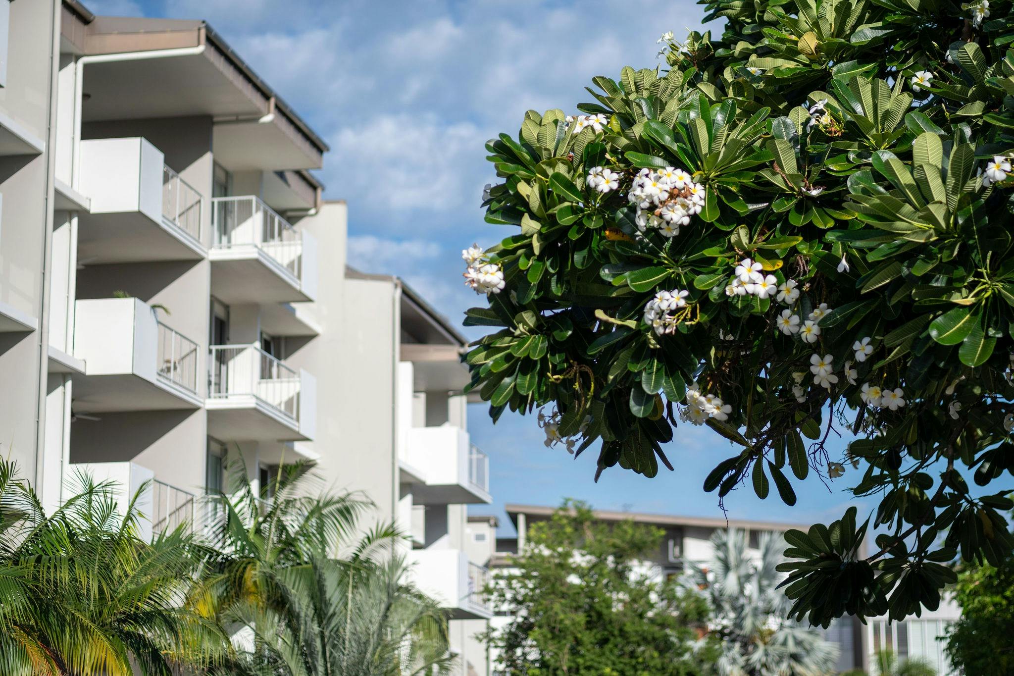 1 Bedroom Apartment Resort View