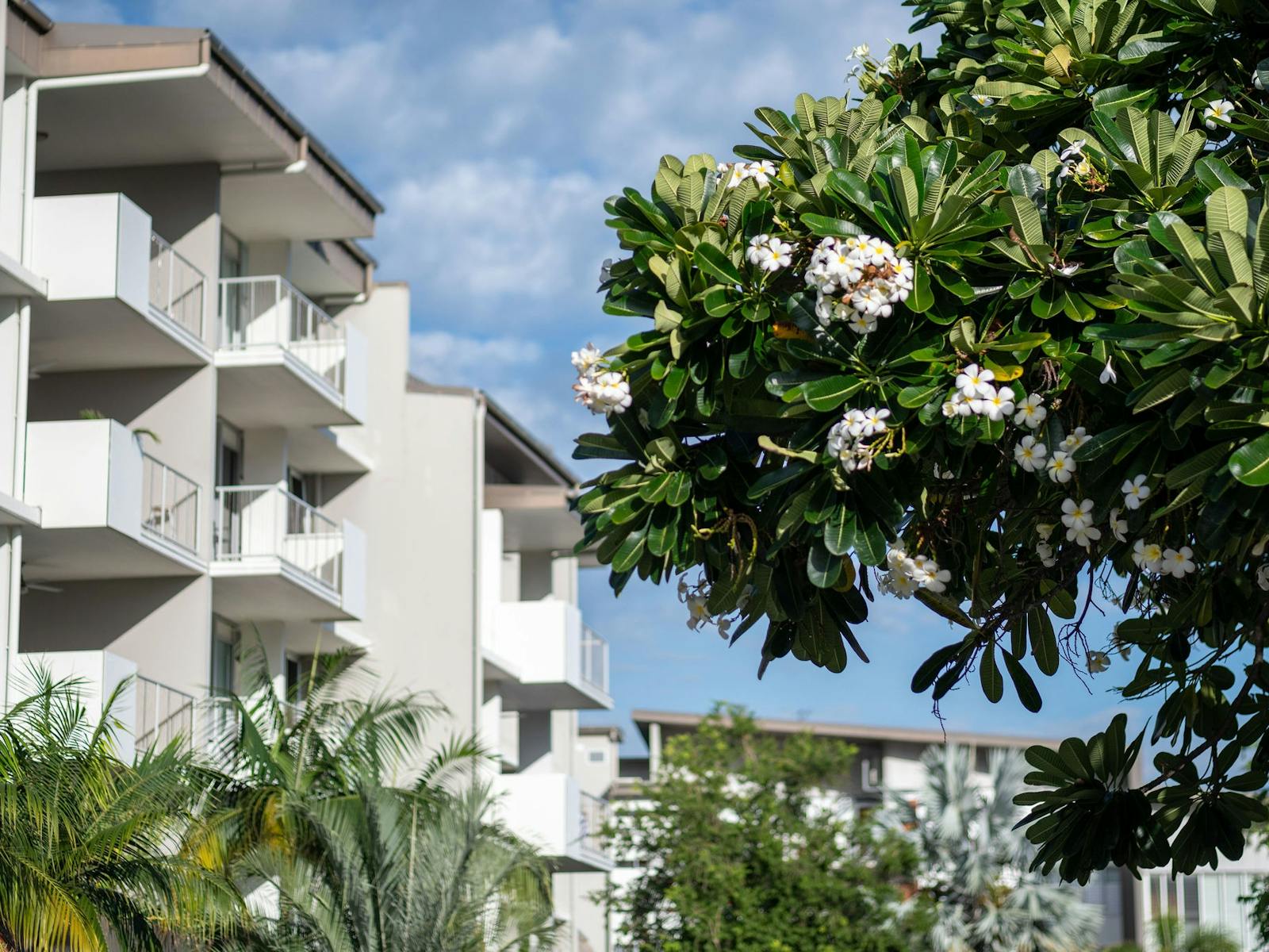 Grand Mercure Apartments Magnetic Island Resort View Grand Mercure Apartments Magnetic Island Resort View