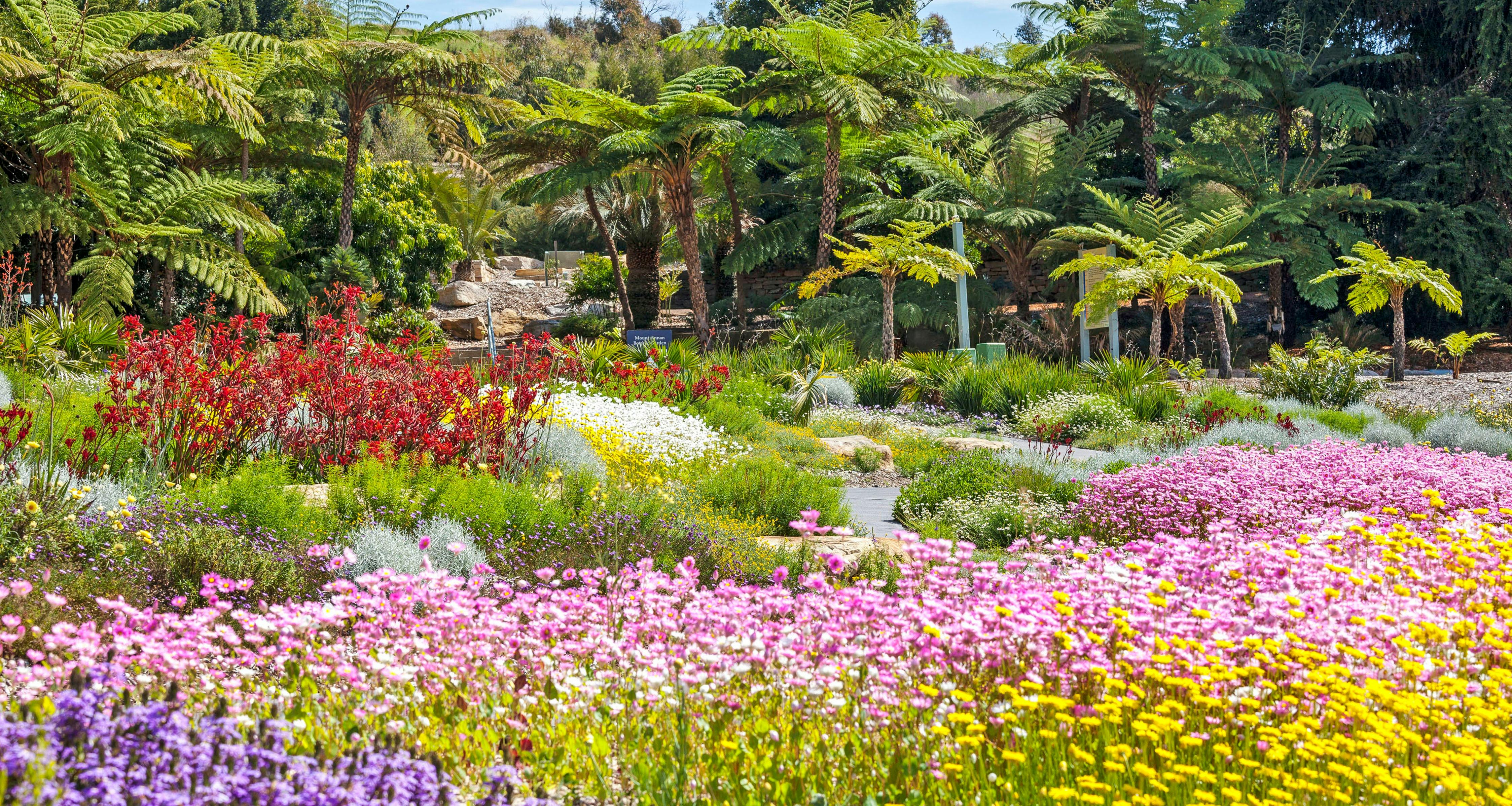 Connections Garden at The Australian Botanic Garden Mount Annan