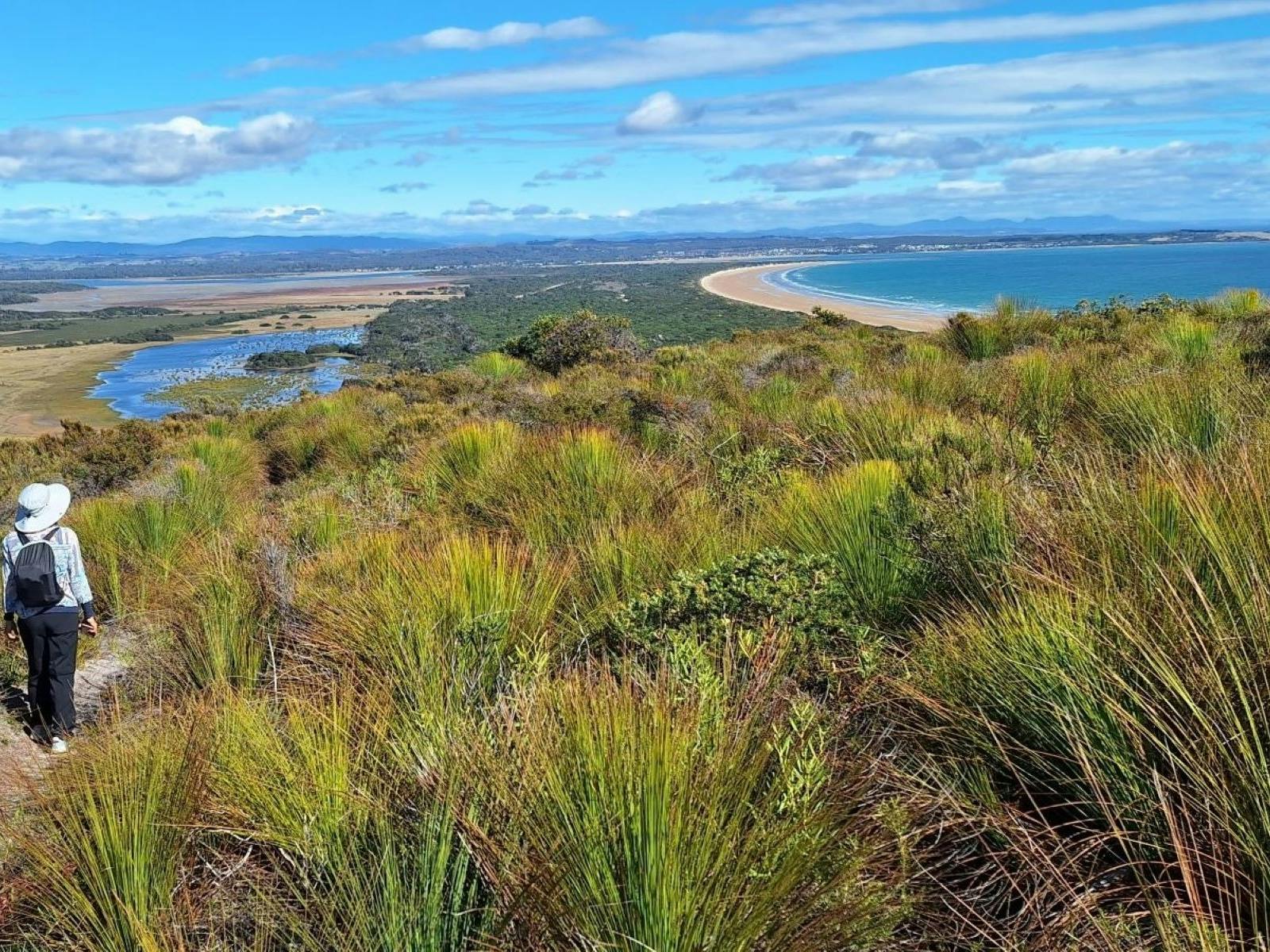 Grassy cliff top with walker looking out over beach and lagoon