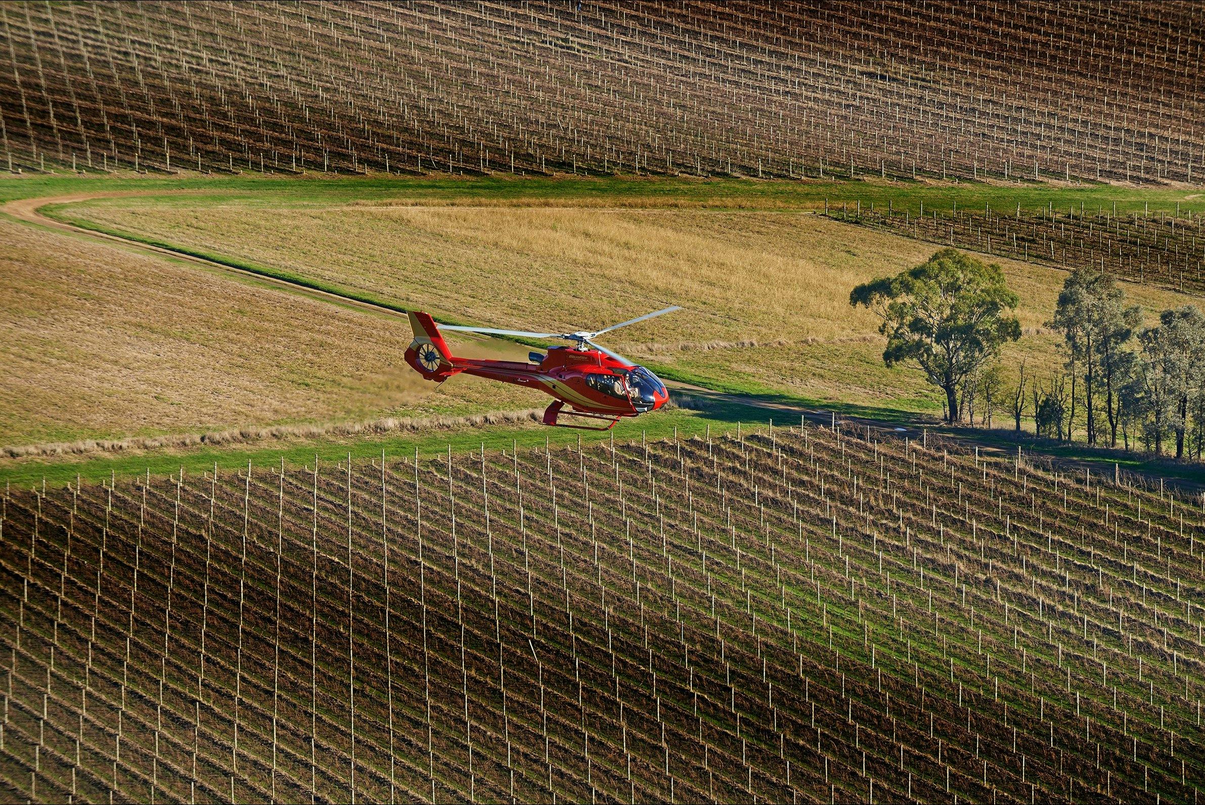 Yarra Valley and Helicopter Private Journey