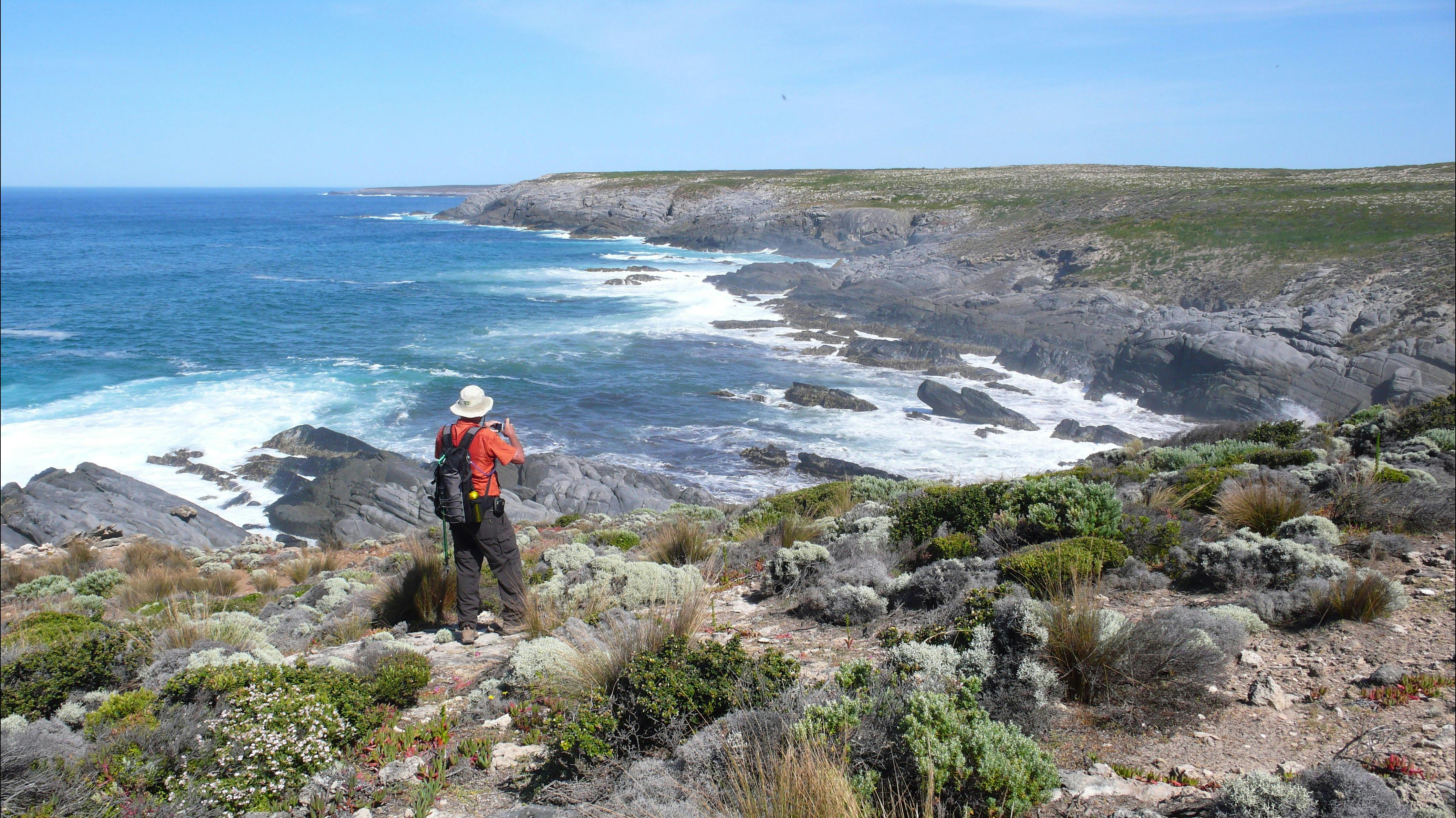 Walker on the coast of Kangaroo Island