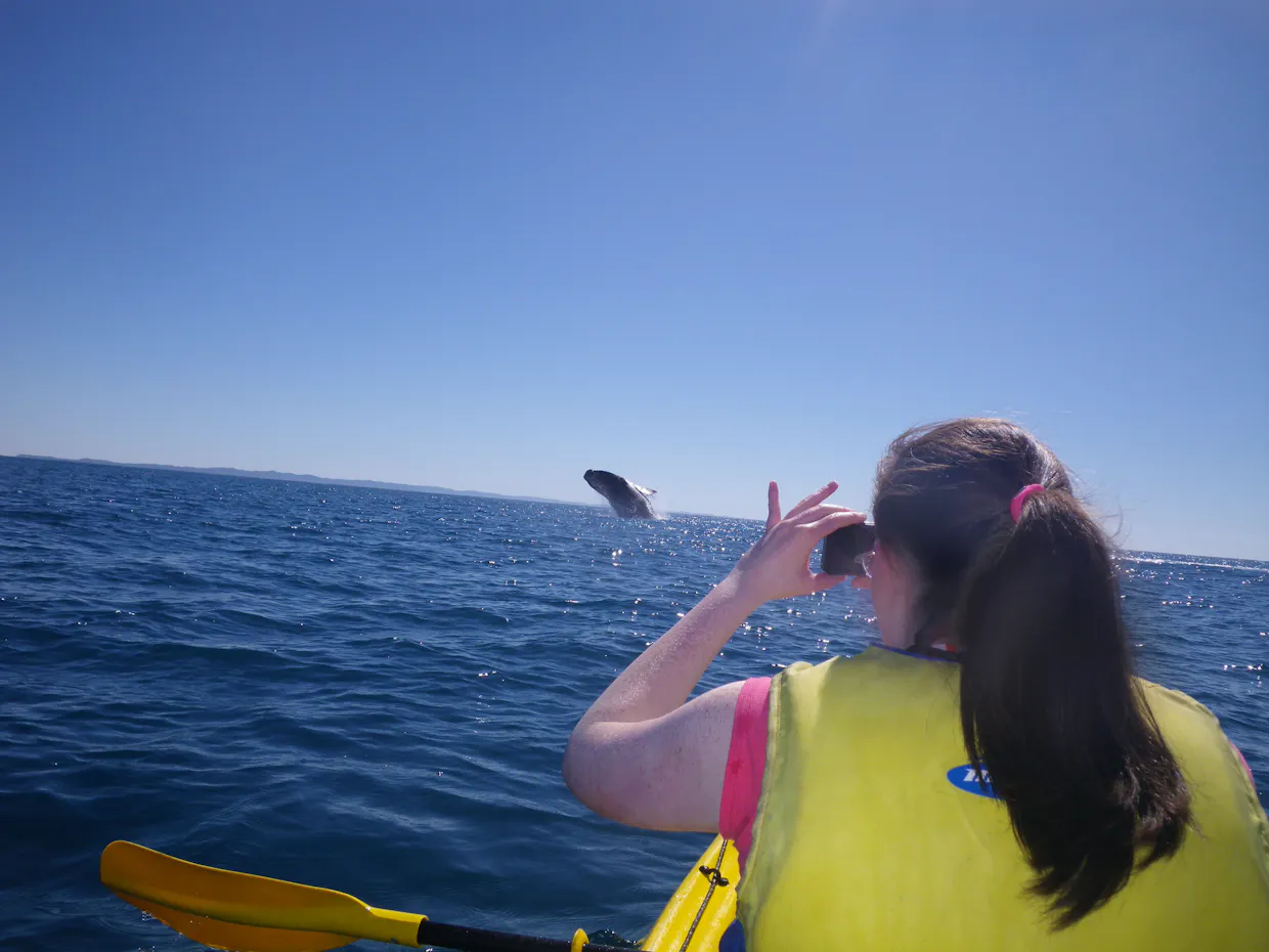 Noosa Whale Watching Ocean Kayaking & Beach 4X4 Tour