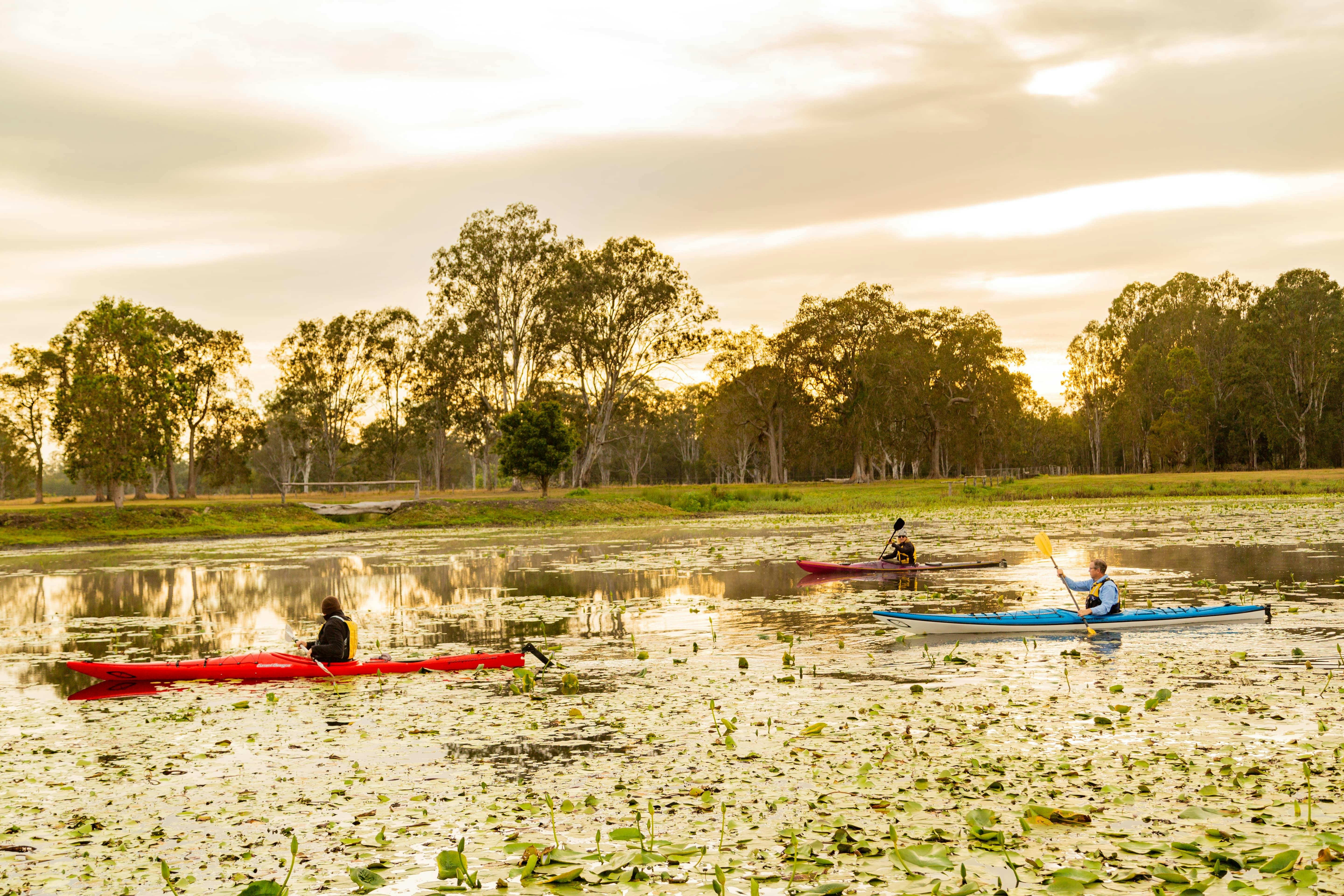 Two people on Kayaks