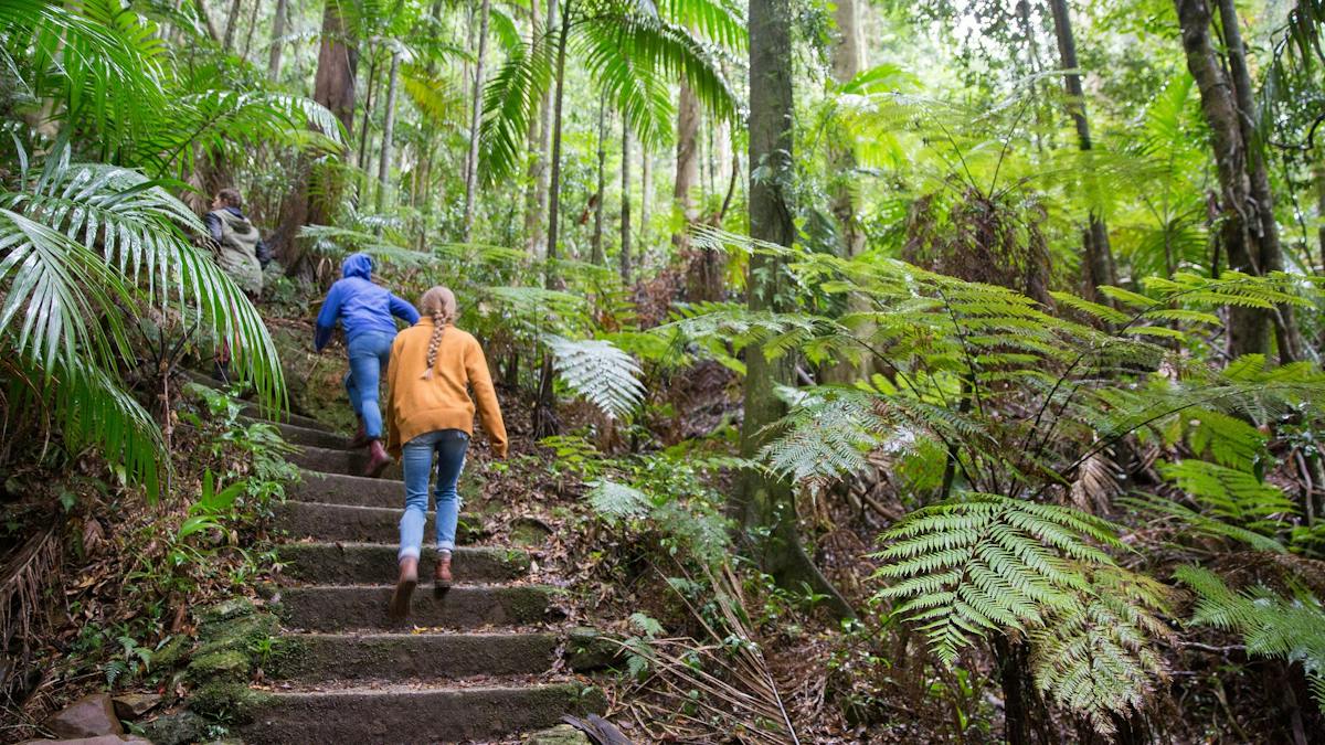 Pine Rivres Pine Rivers | Destination-information | Queensland