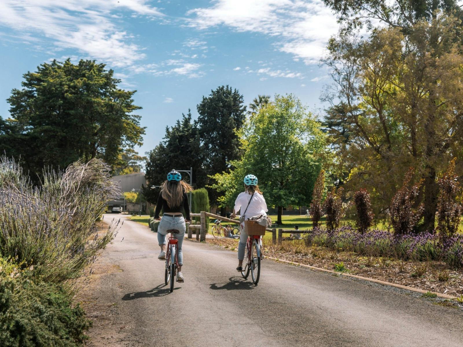 Clare Valley Explorer Self Guided Cycle Tour