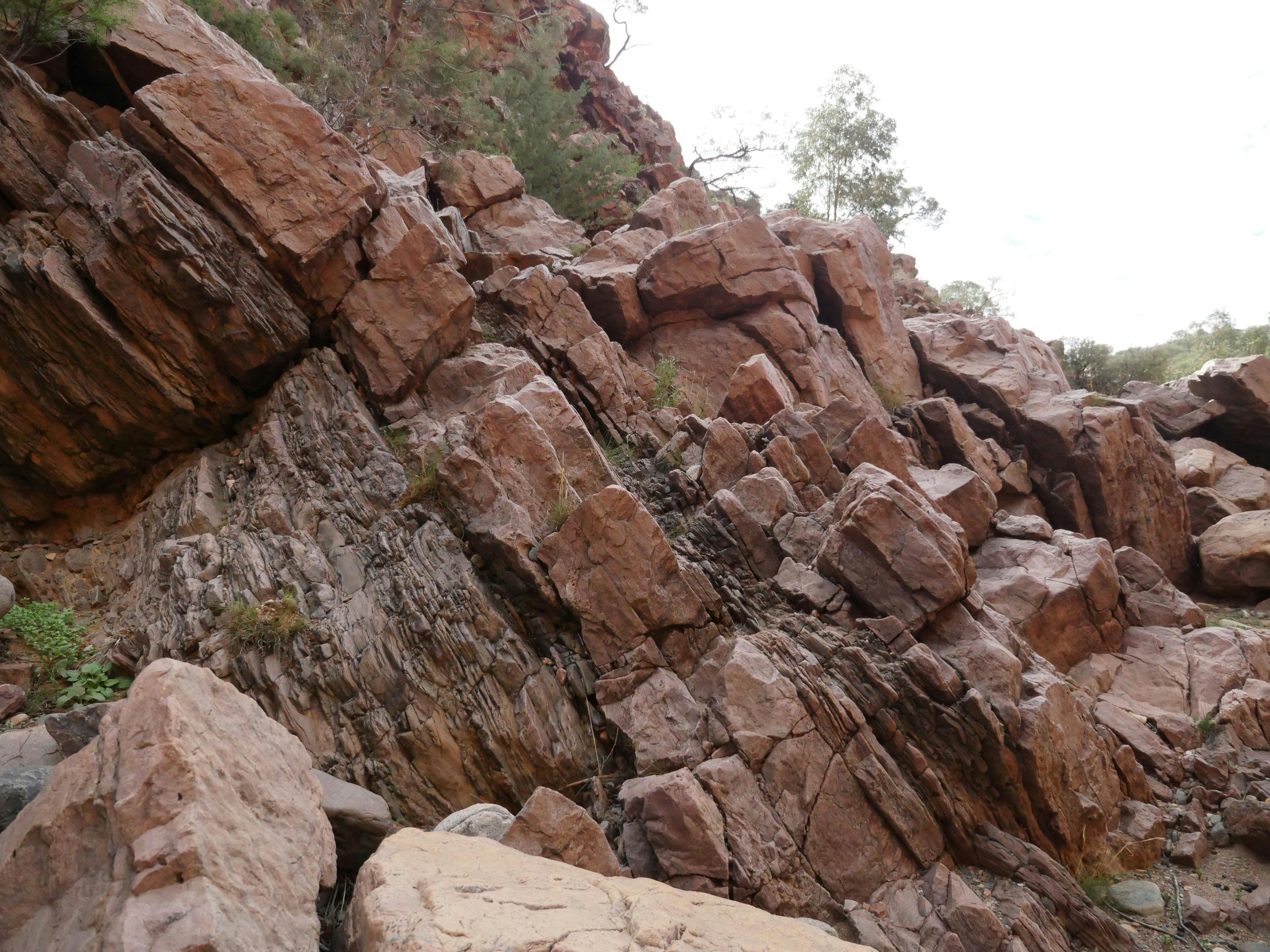 Arkaroola