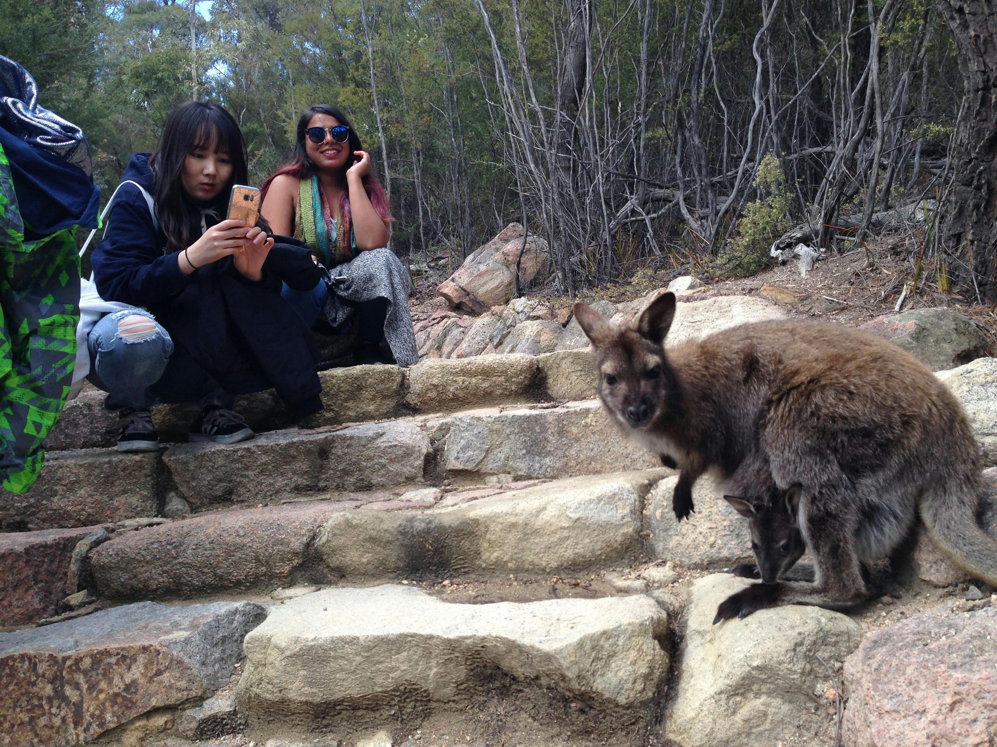 Freycinet National park