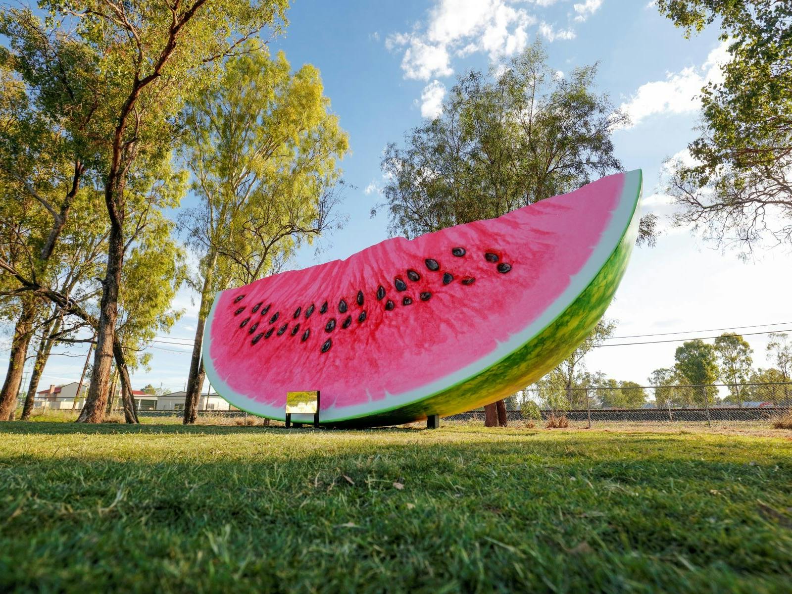 The Big Melon Chinchilla The Big Melon Chinchilla