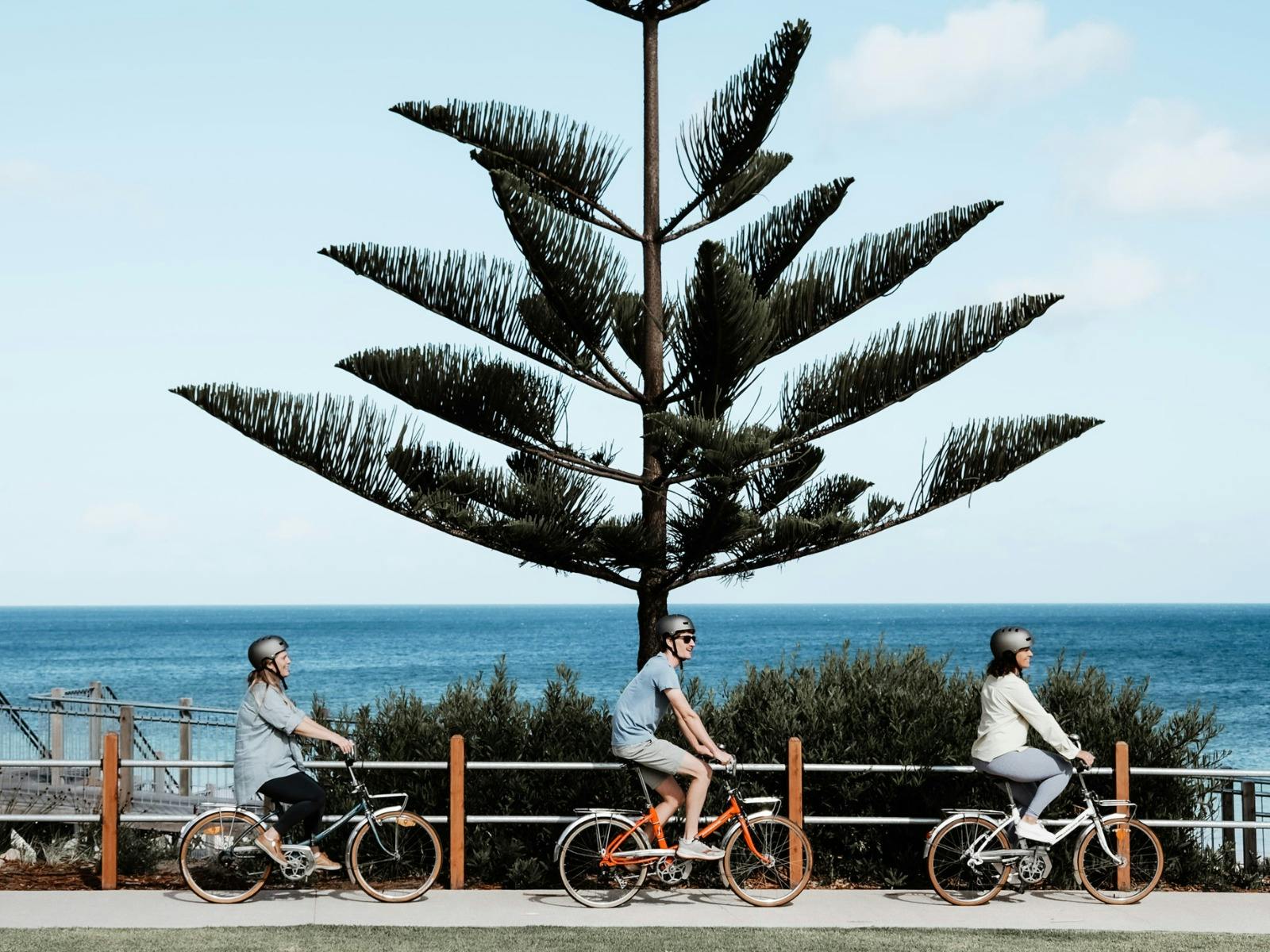 guided bike tours enliven outdoor adventures normanville fleurieu peninsula south australia