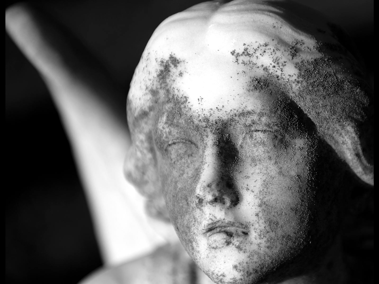 Image for Exhibition Preview: Someone To Watch Over Me/The Better Angels Of Our Nature