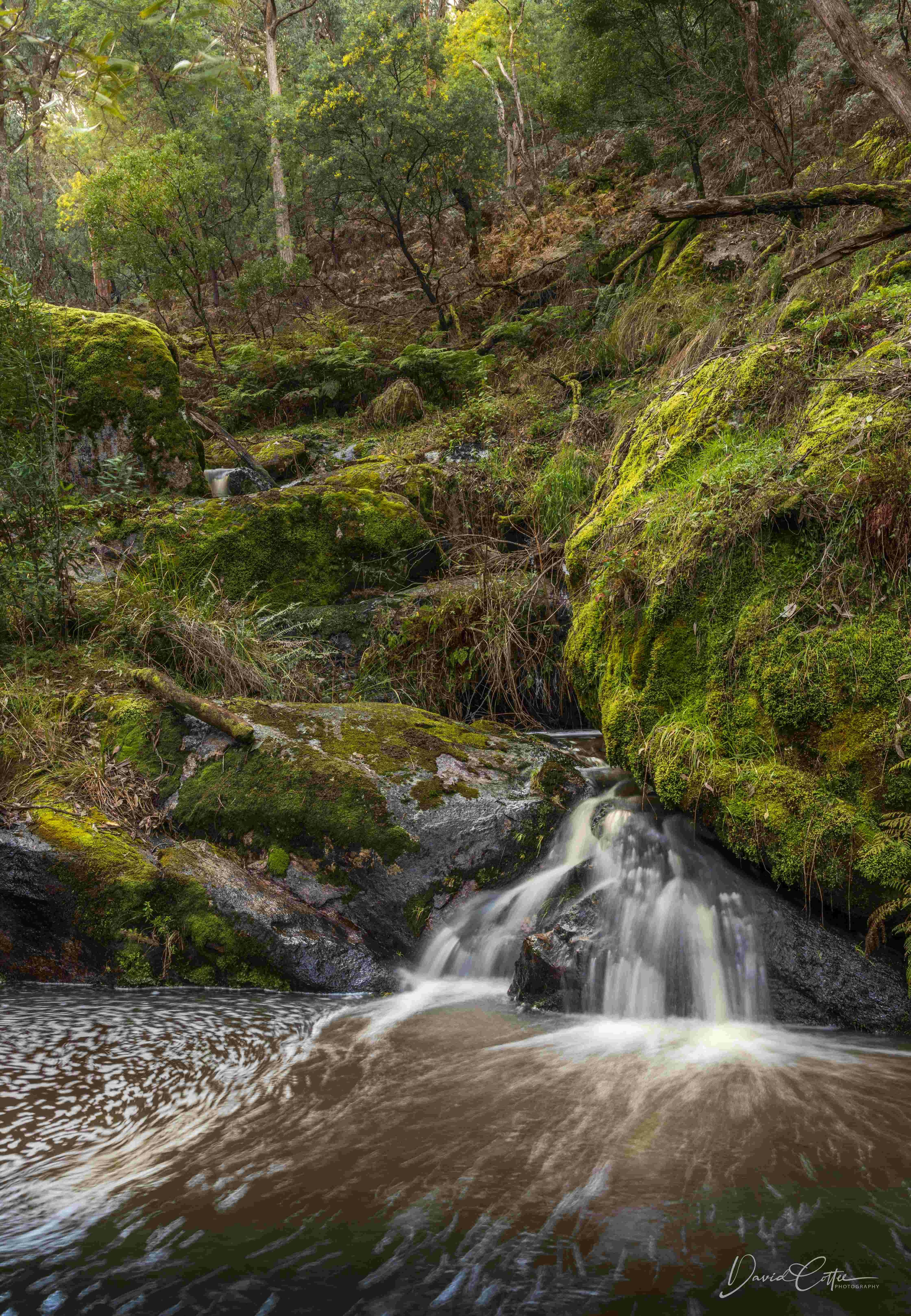 Cottontree Creek, Granya State Park
