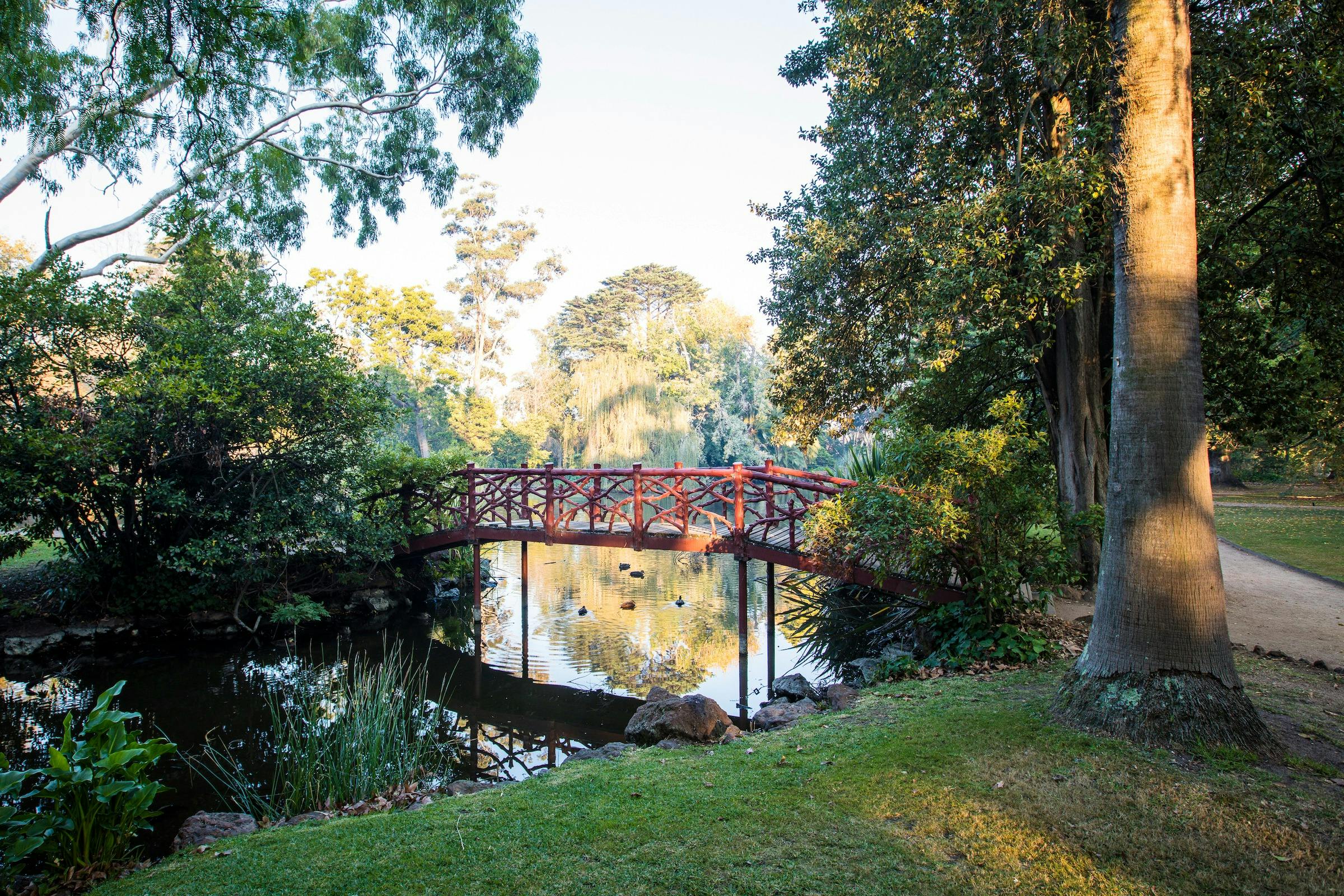 Rippon Lea Estate Gardens