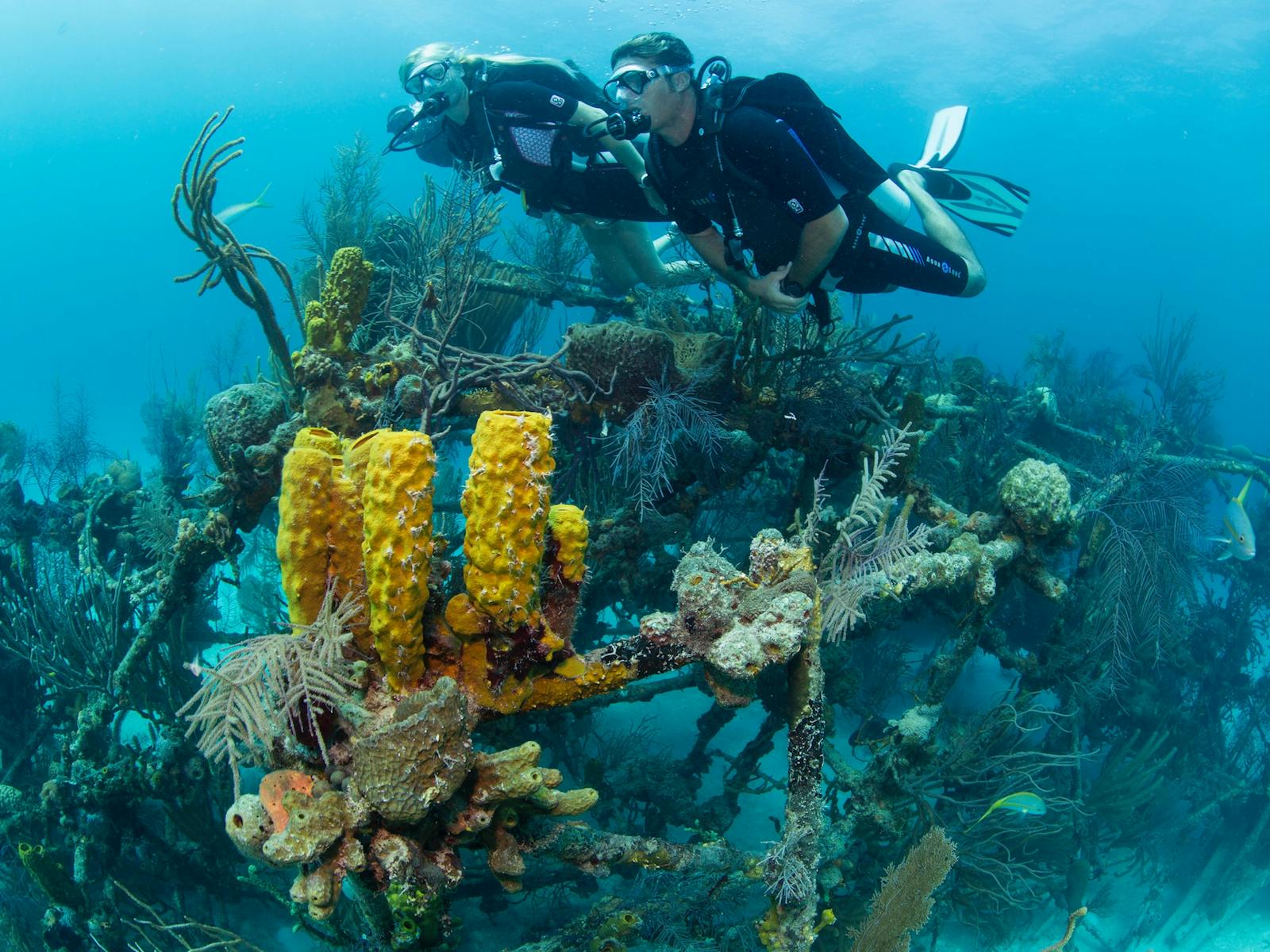 Diving