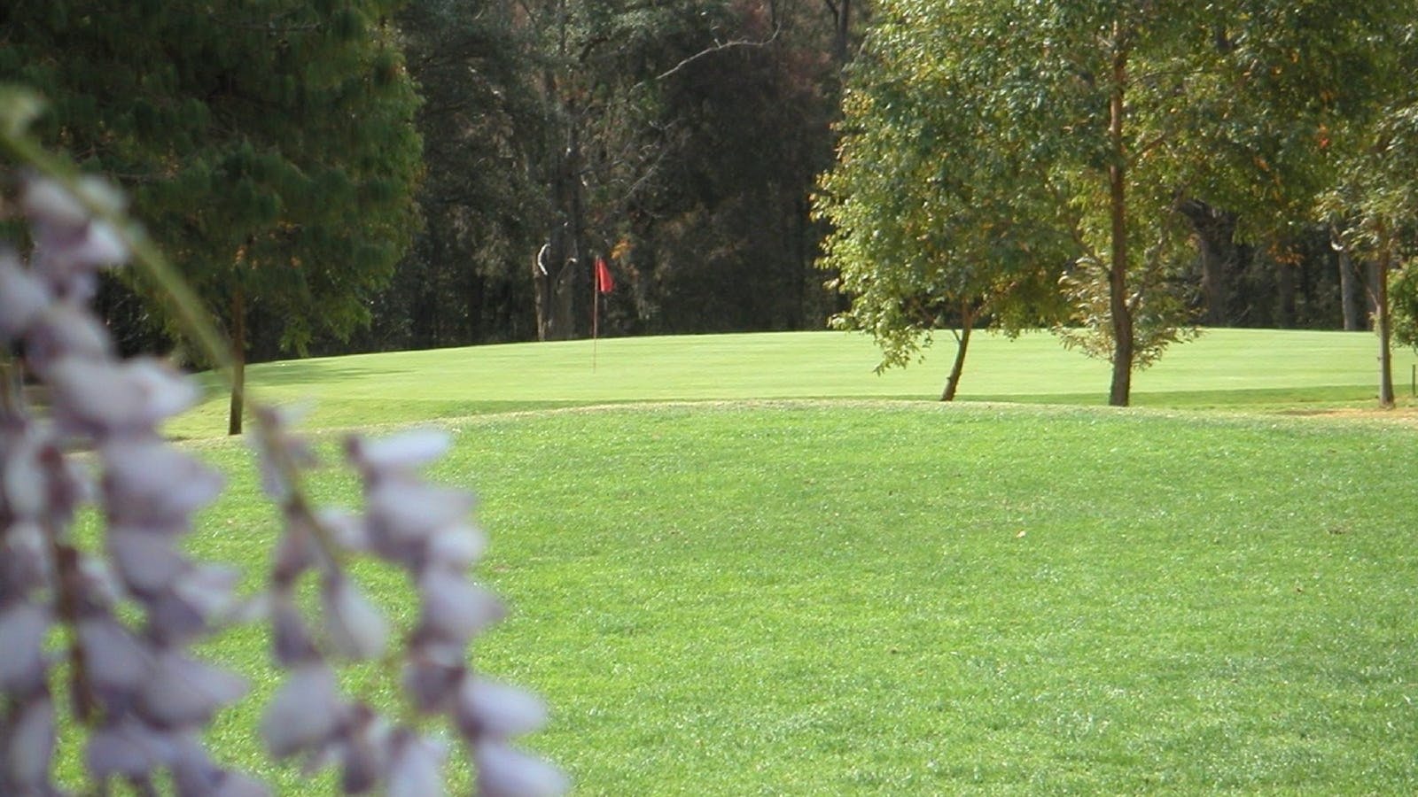 Springwood Country Club