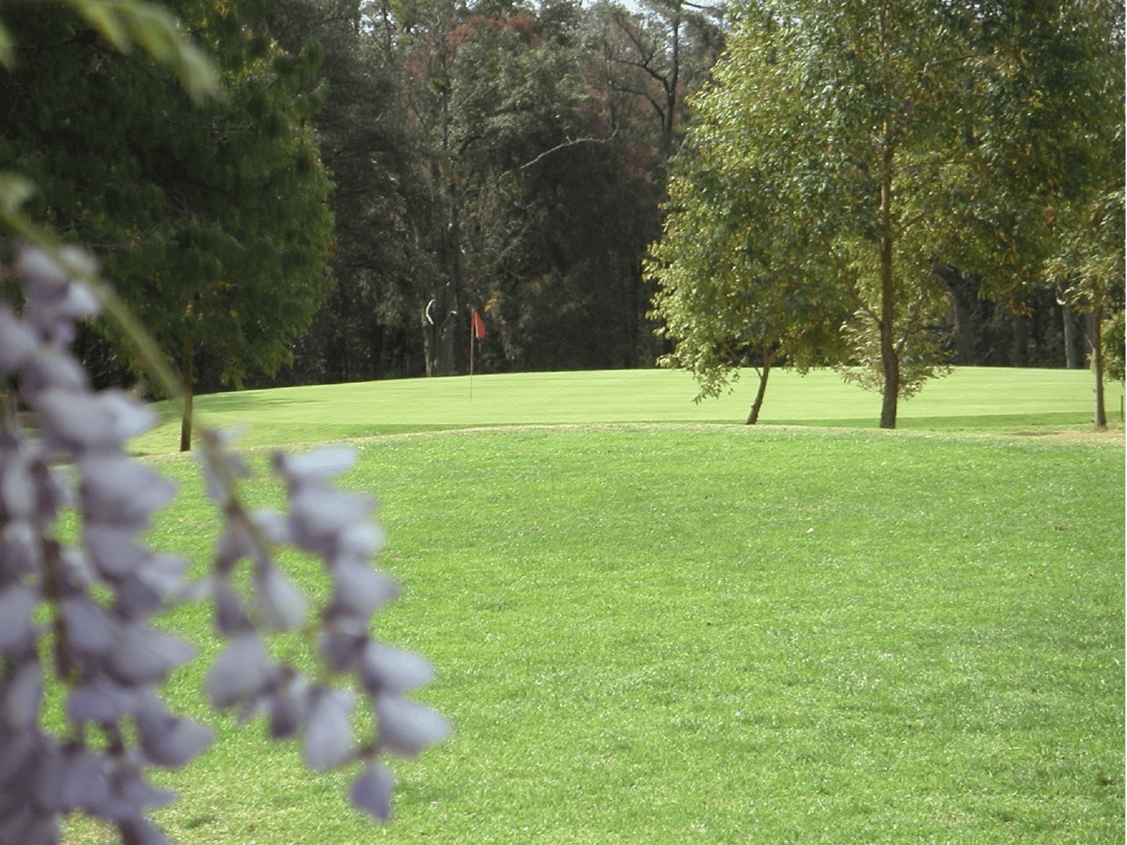 Springwood Country Club